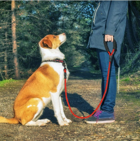 Comfort Grip Reflective Dog Leash – Soft Handle for All Dogs - Doggy-Dog world