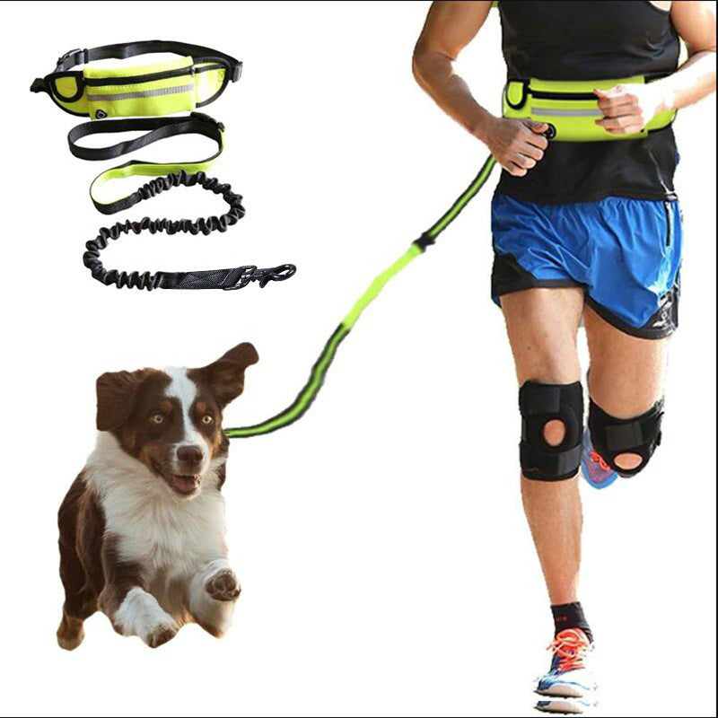 Hands-Free Dog Leash – Run Effortlessly with Your Large Dog - Doggy-Dog world