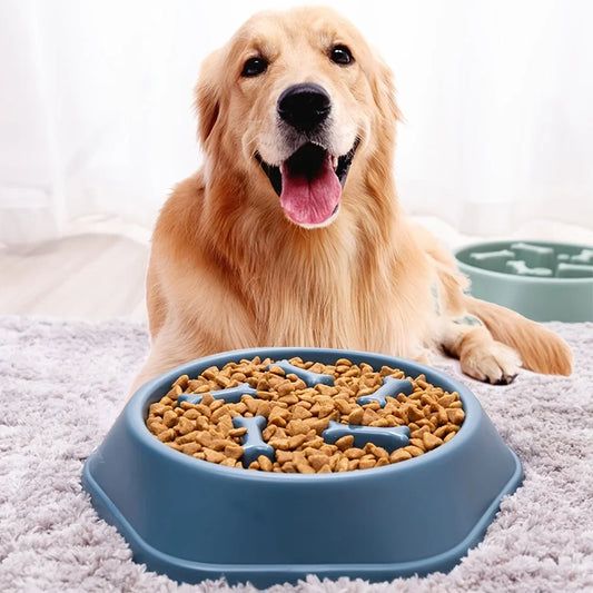 Dog Slow Feeder Bowl – Anti-Slip, Non-Choking Design for Calm Meals - Doggy-Dog world