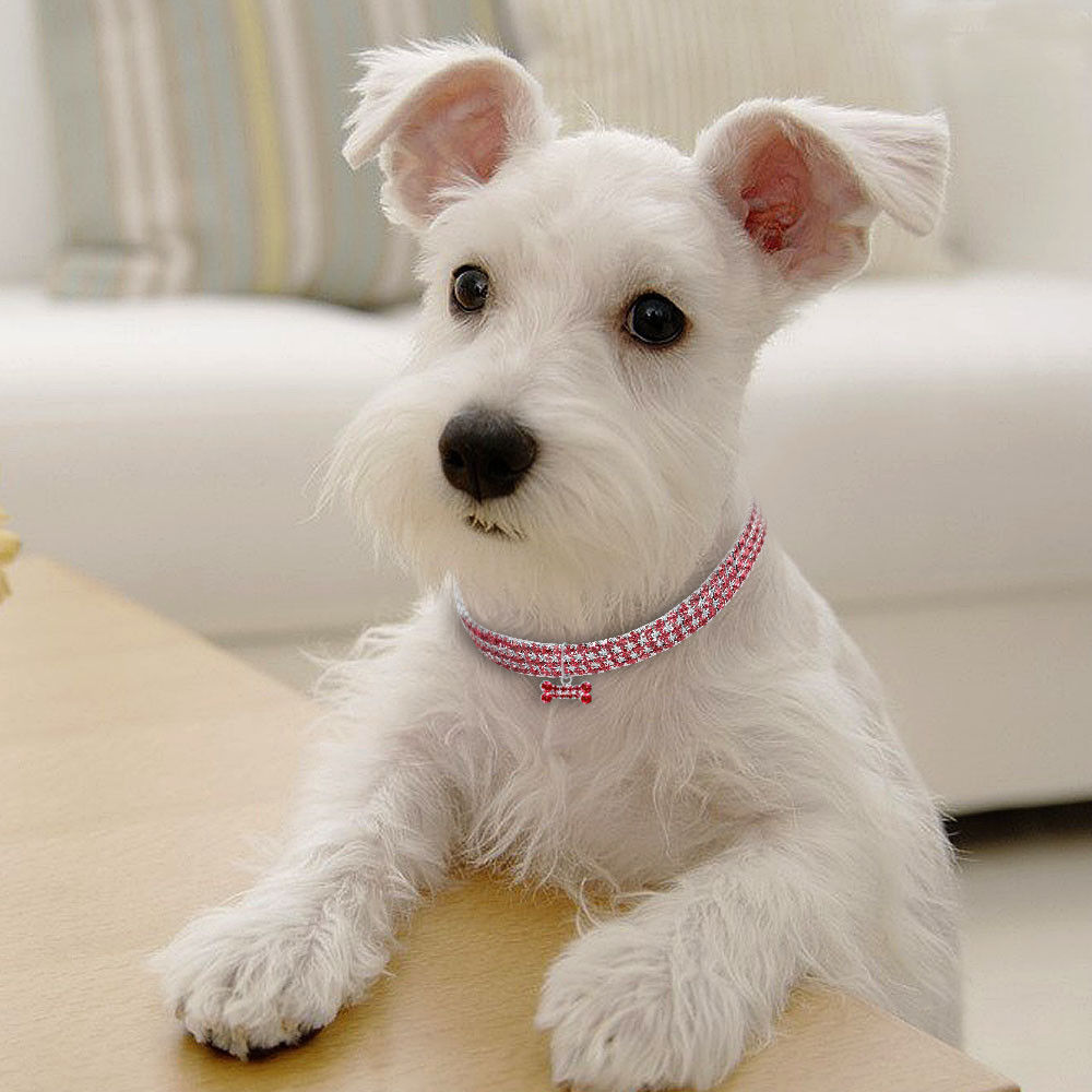 “Glamorous Bling Collars for Small Dogs and Cats